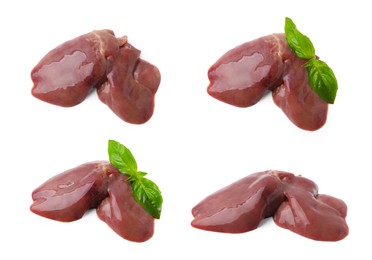 Image of Fresh raw chicken liver isolated on white, collection. Top and side views