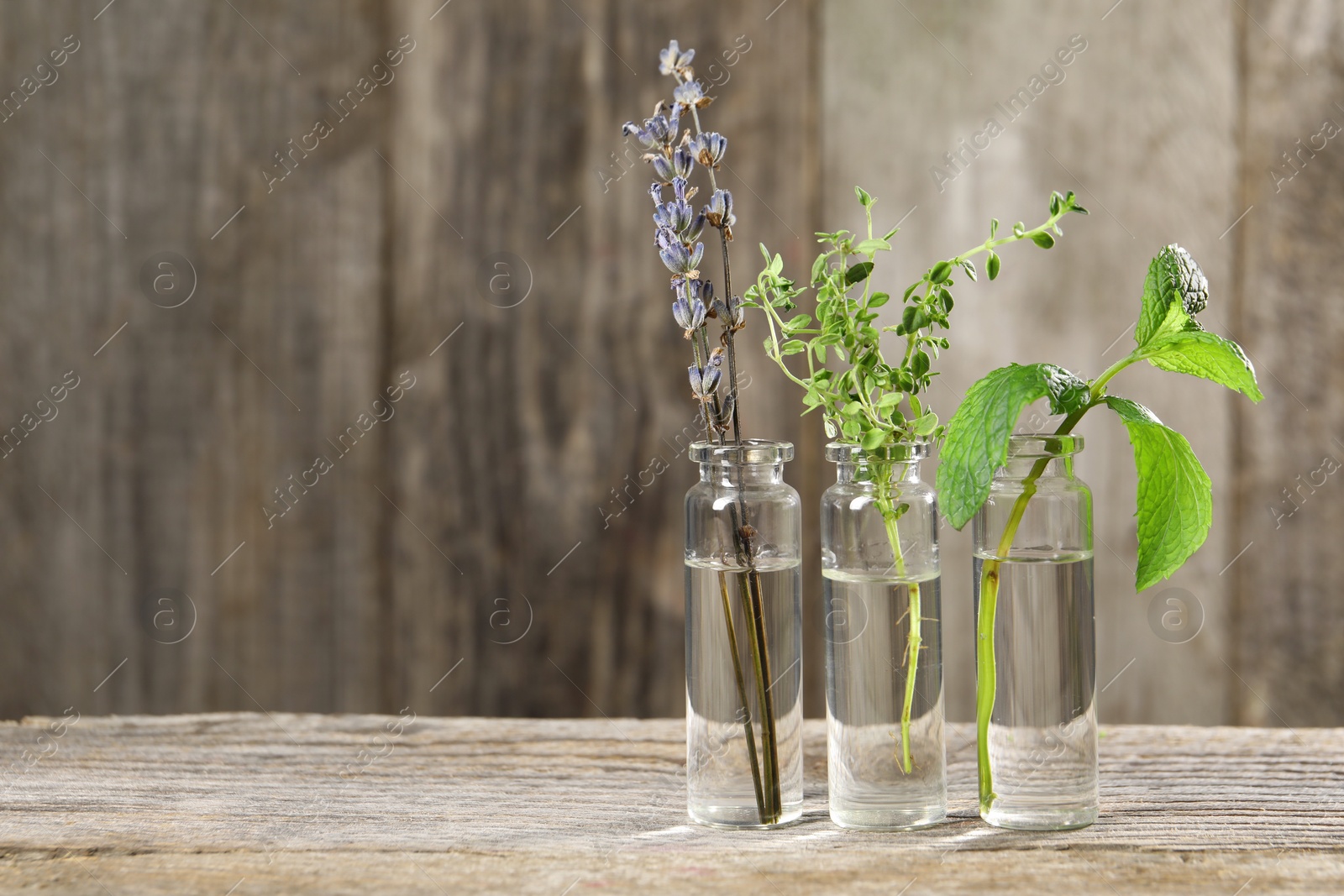 Photo of Bottles with essential oils and plants on wooden table. Space for text