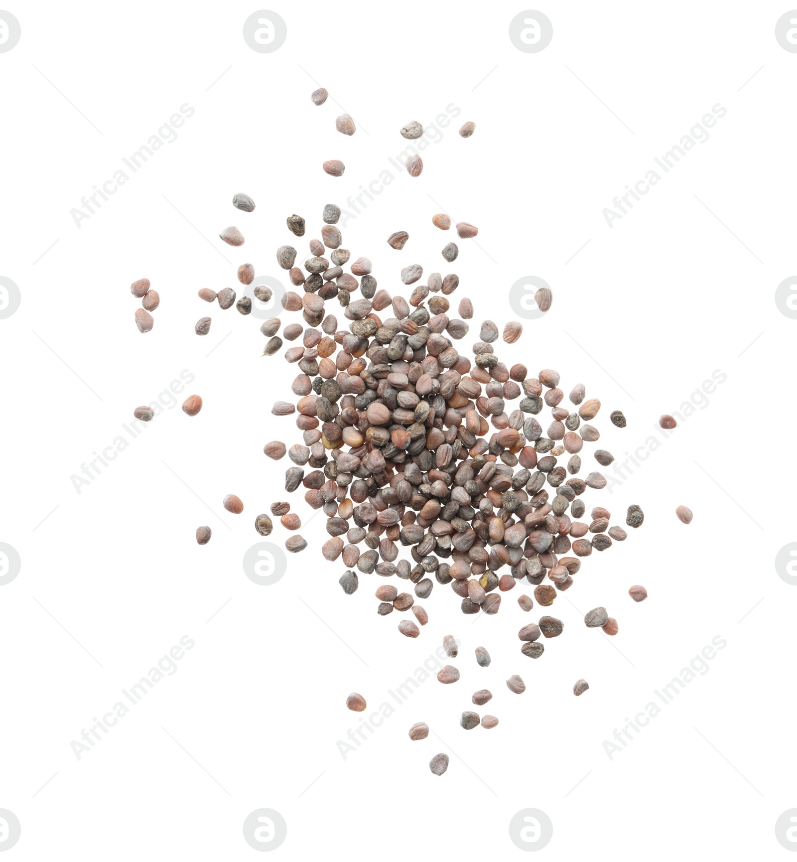 Photo of Pile of raw radish seeds on white background, top view. Vegetable planting