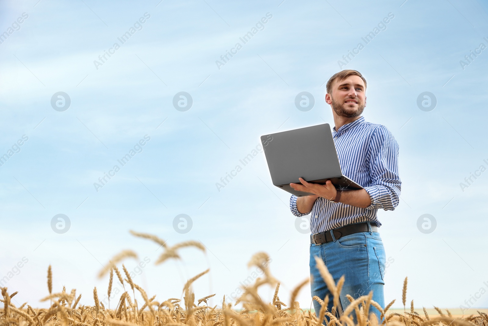 Photo of Young agronomist with laptop in grain field. Cereal farming