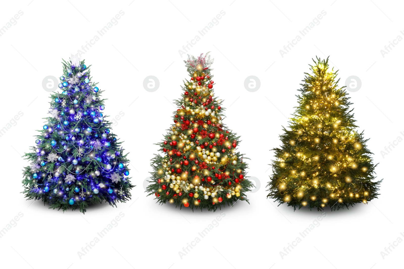 Image of Christmas trees decorated with ornaments and festive lights isolated on white, set