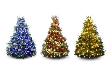 Image of Christmas trees decorated with ornaments and festive lights isolated on white, set