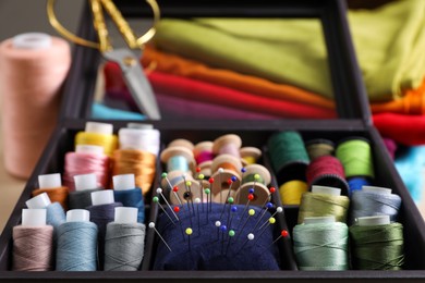 Photo of Set of sewing threads and cushion with pins in organizer, closeup