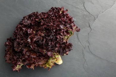 Photo of Head of fresh red coral lettuce on grey textured table, top view. Space for text