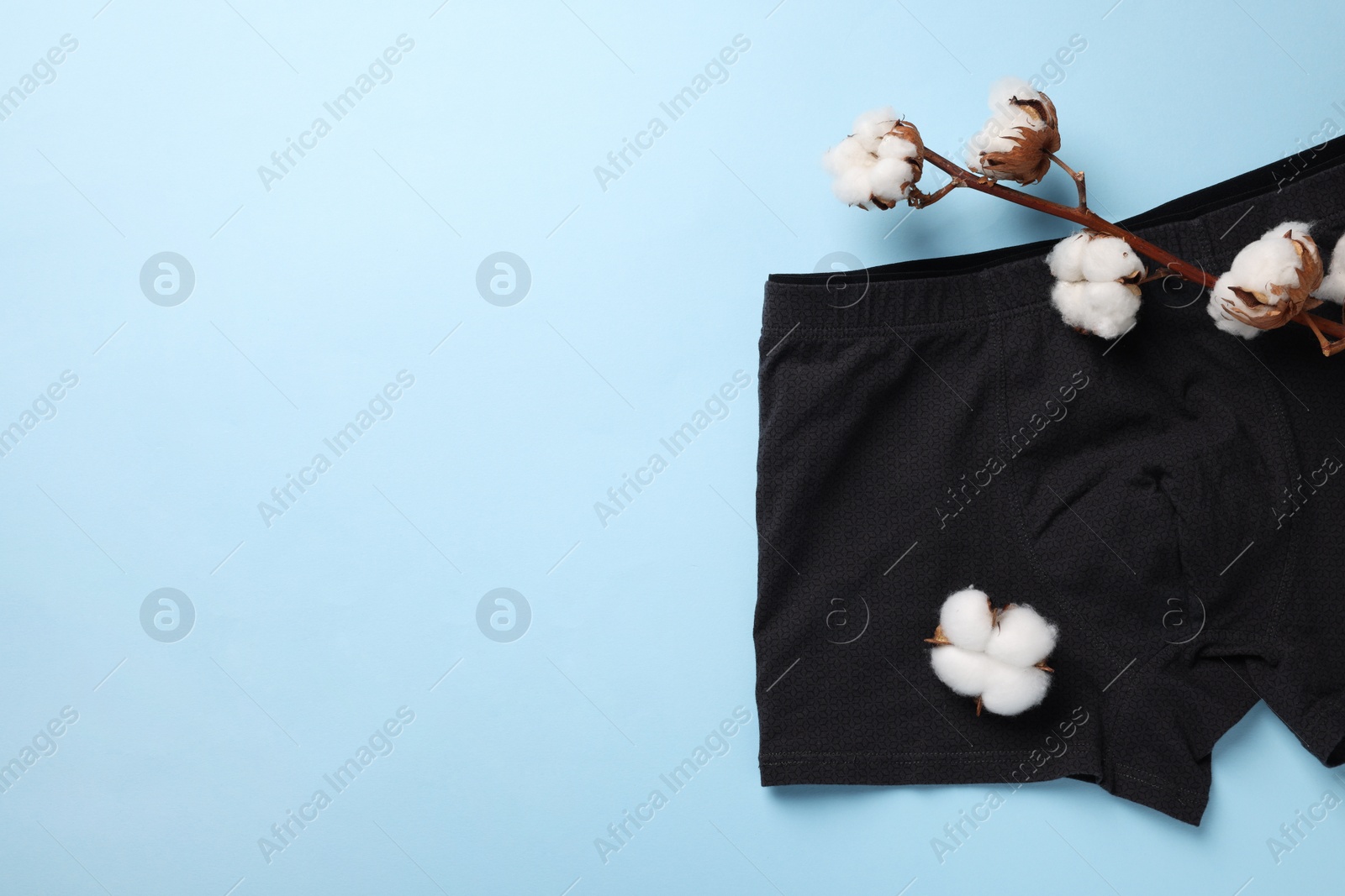 Photo of Black man's underwear and cotton flowers on light blue background, flat lay. Space for text