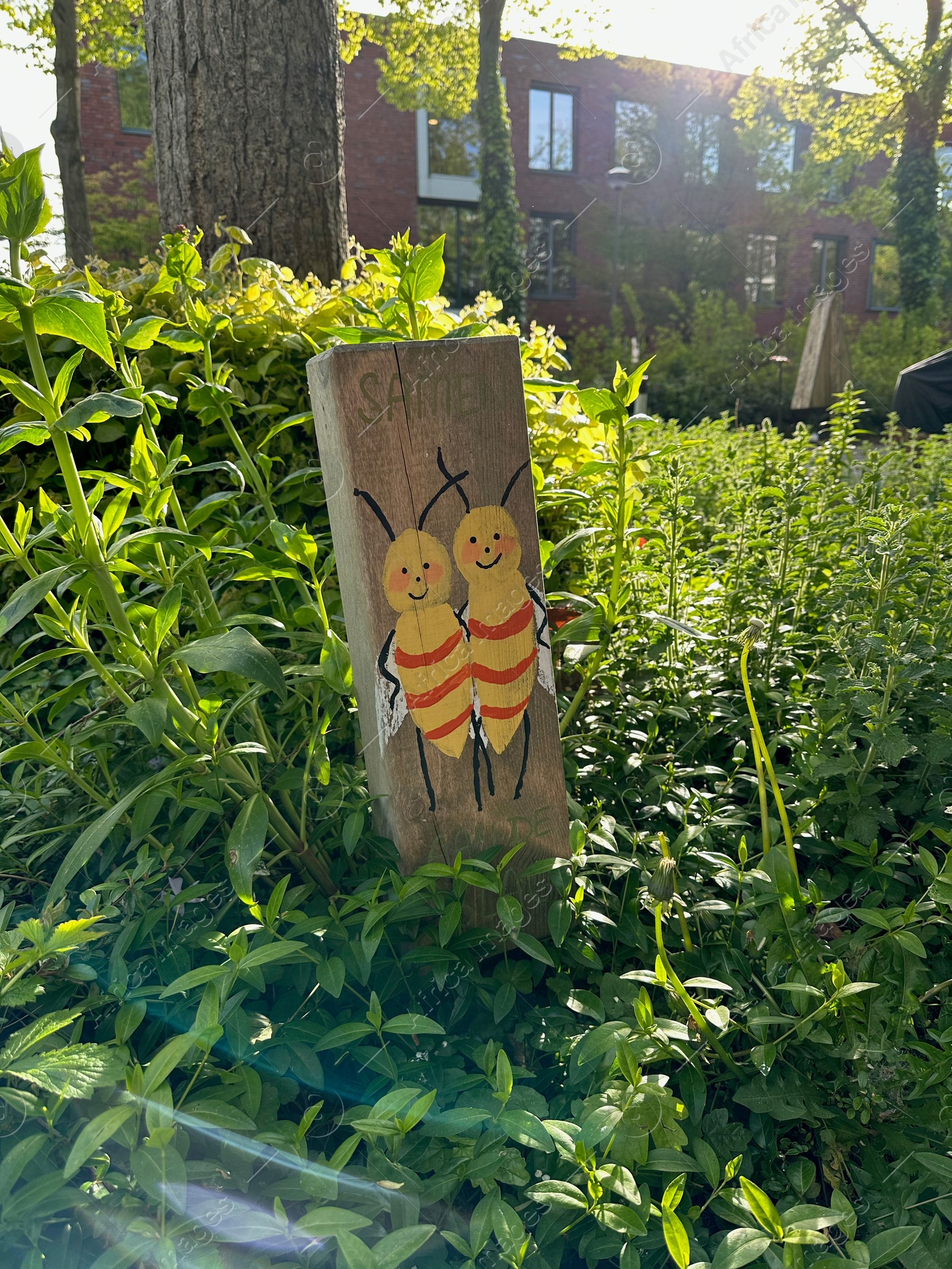 Photo of Wooden decor with painted wasps outdoors on sunny day