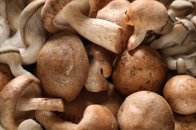 Photo of Different fresh wild mushrooms as background, closeup