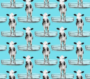 Image of Small cows in Petri dishes on turquoise background, pattern design. Cultured meat concept