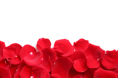 Pile of red rose petals on white background, top view