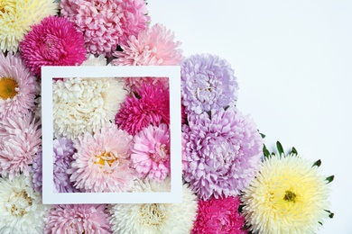 Beautiful aster flowers and picture frame on white background, top view