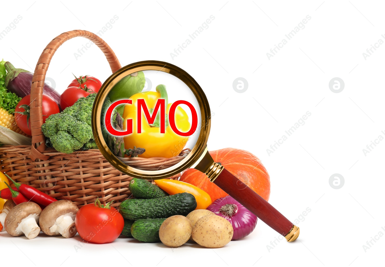 Image of View through magnifying glass on fresh vegetables against white background. GMO concept