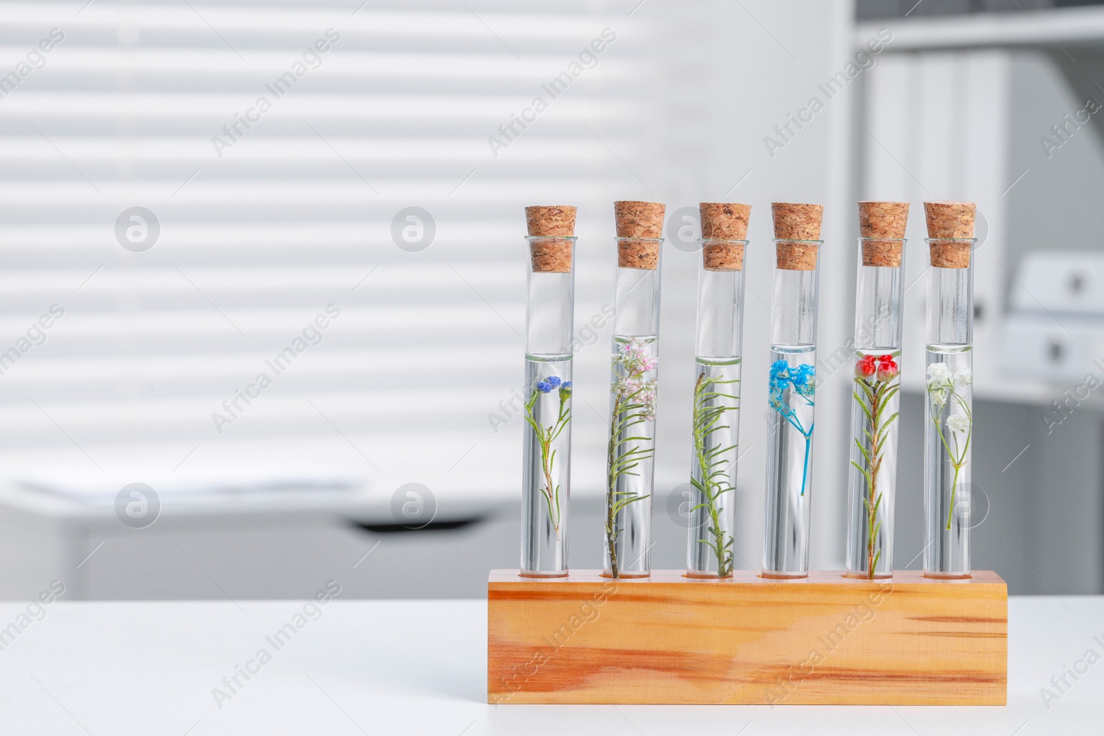 Photo of Test tubes with different plants on white table in laboratory. Space for text