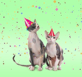 Image of Adorable cats with party hats on green background 
