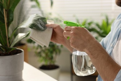 Photo of Man spraying beautiful potted houseplants with water indoors, closeup