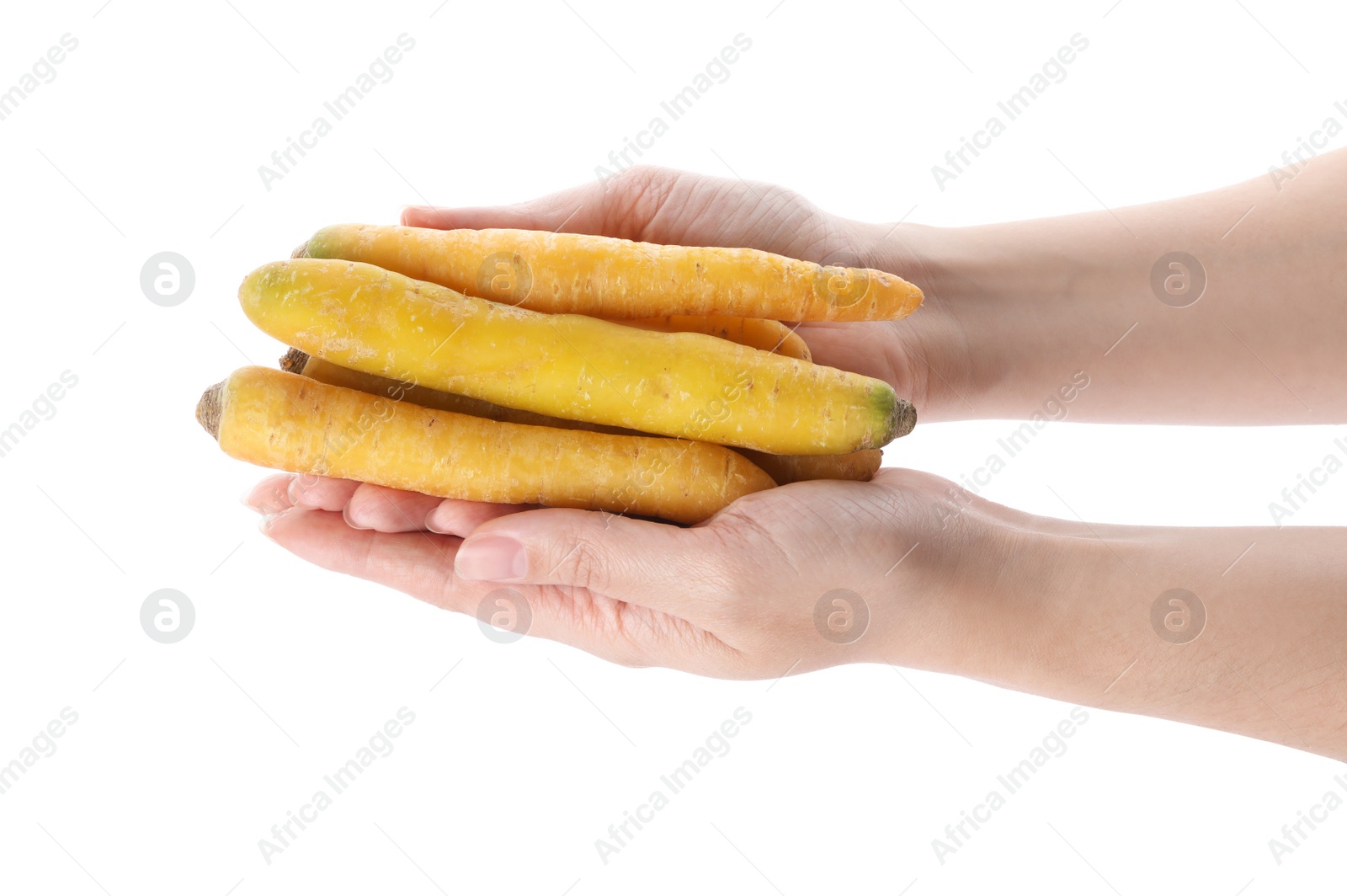 Photo of Woman holding raw yellow carrots on white background, closeup