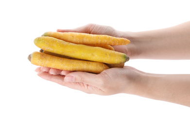 Photo of Woman holding raw yellow carrots on white background, closeup