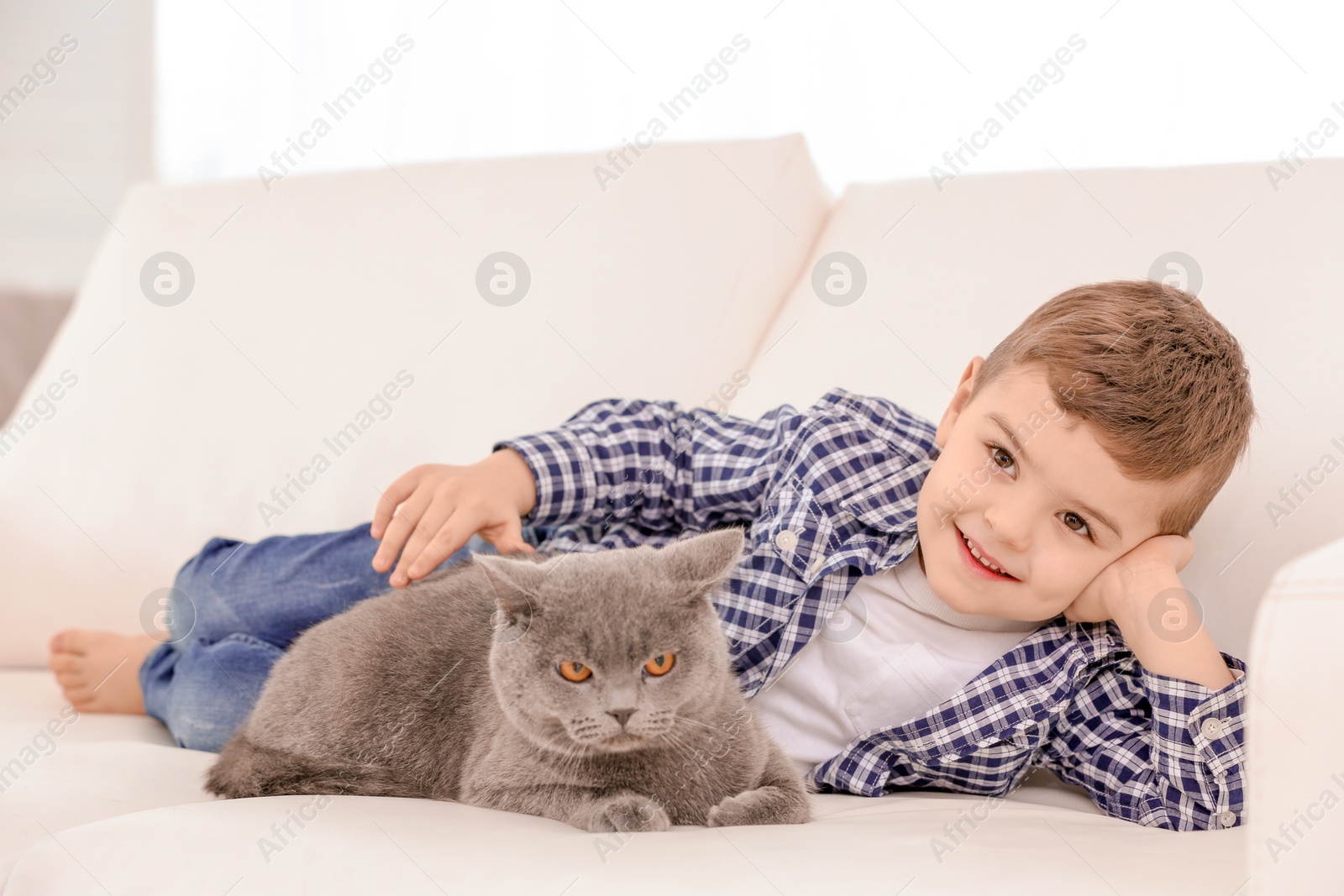 Photo of Cute little child with cat at home