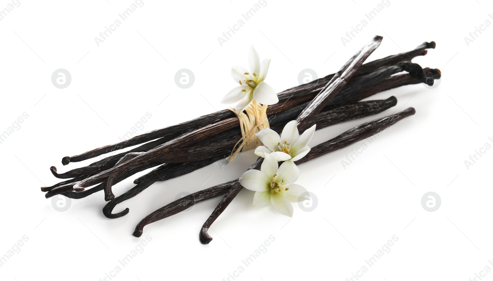 Photo of Vanilla pods and flowers isolated on white