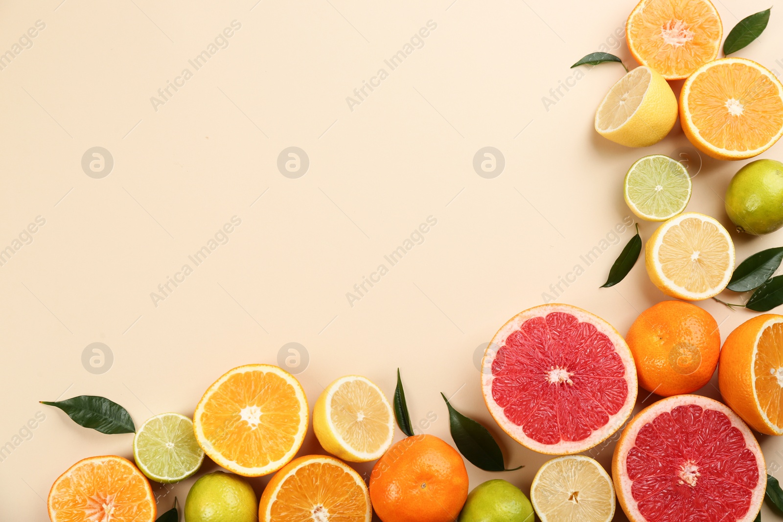 Photo of Flat lay composition with tangerines and different citrus fruits on beige background. Space for text