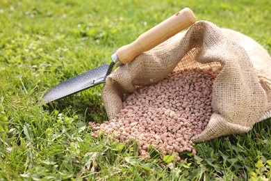 Photo of Granulated fertilizer in sack and shovel on green grass outdoors, closeup