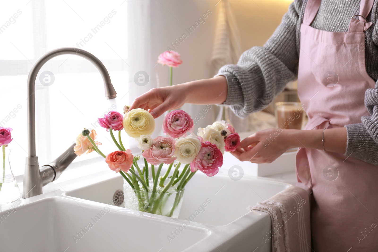 Photo of Woman taking care of cut fresh ranunculus flowers in kitchen, closeup