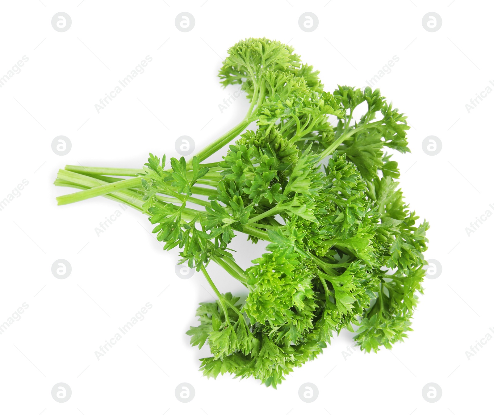 Photo of Fresh green organic parsley on white background