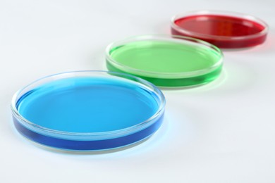 Petri dishes with colorful liquids on white background, closeup