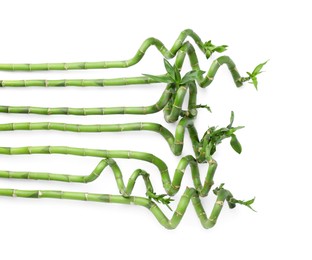 Photo of Beautiful green bamboo stems on white background, top view