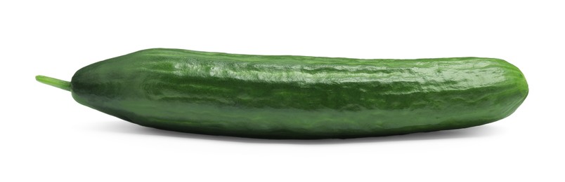 Photo of One long fresh cucumber isolated on white