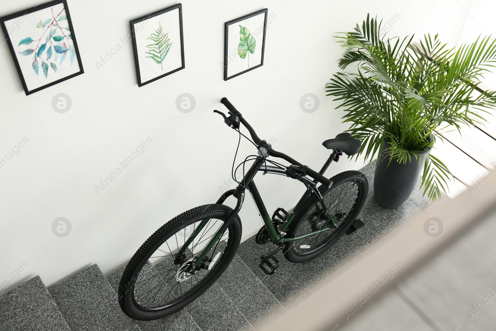 Photo of Modern black bicycle on stairs at home