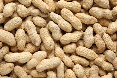 Many fresh unpeeled peanuts as background, top view