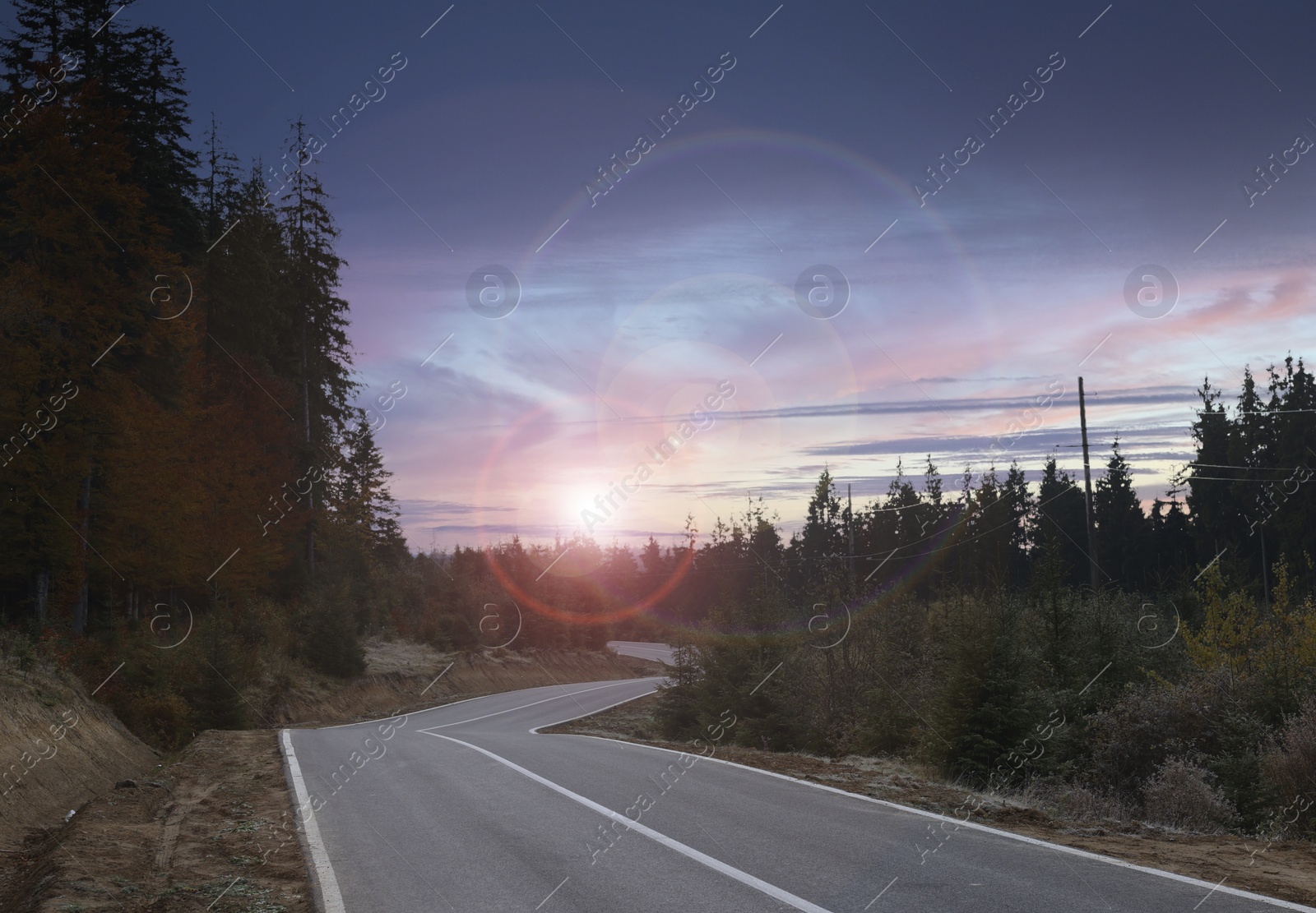 Image of Empty asphalt road and forest at beautiful sunset