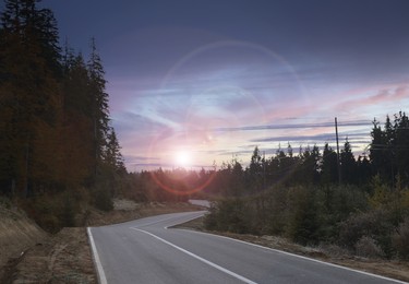 Empty asphalt road and forest at beautiful sunset