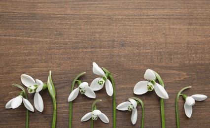 Beautiful snowdrops on wooden table, flat lay. Space for text