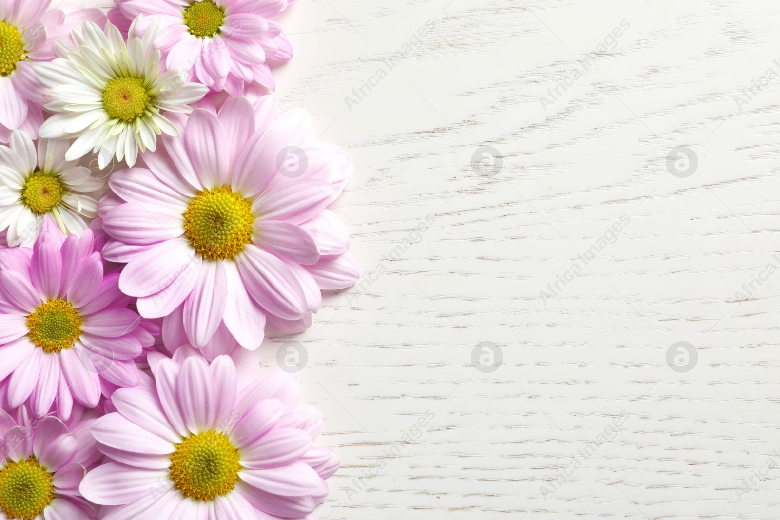 Photo of Beautiful chamomile flowers on wooden background, flat lay with space for text