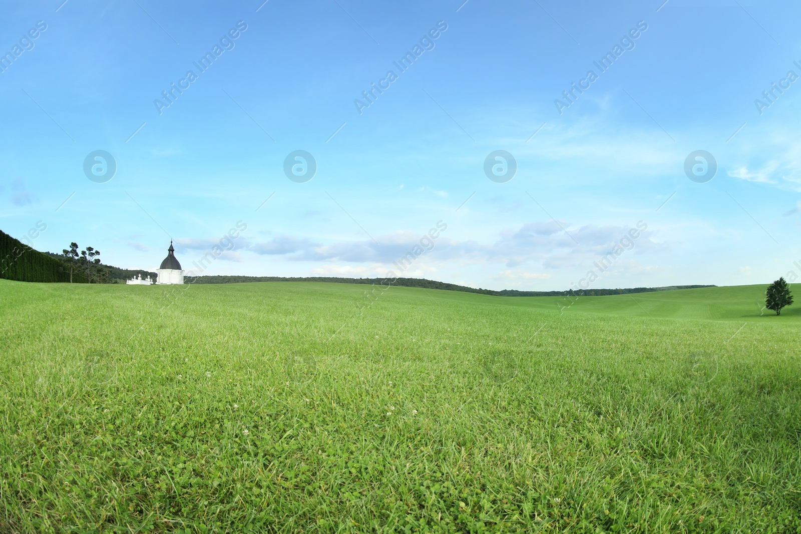 Photo of Beautiful lawn with green grass under blue sky