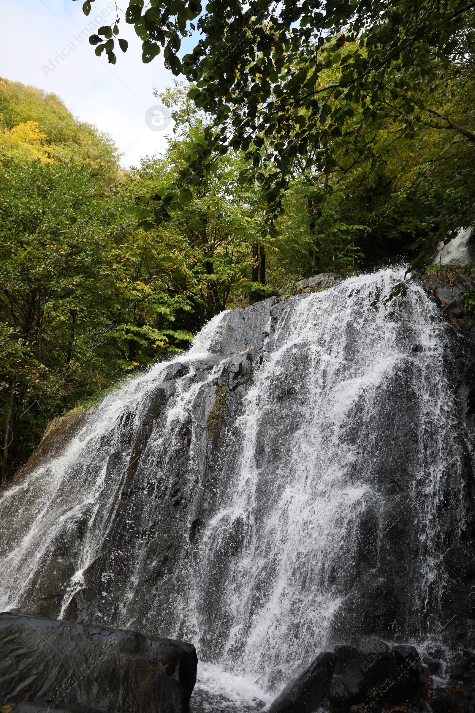 Photo of Picturesque view of small waterfall in forest