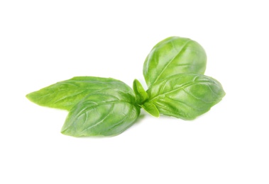 Photo of Fresh green basil leaves on white background