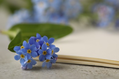 Photo of Beautiful Forget-me-not flowers and paper on grey table, closeup. Space for text