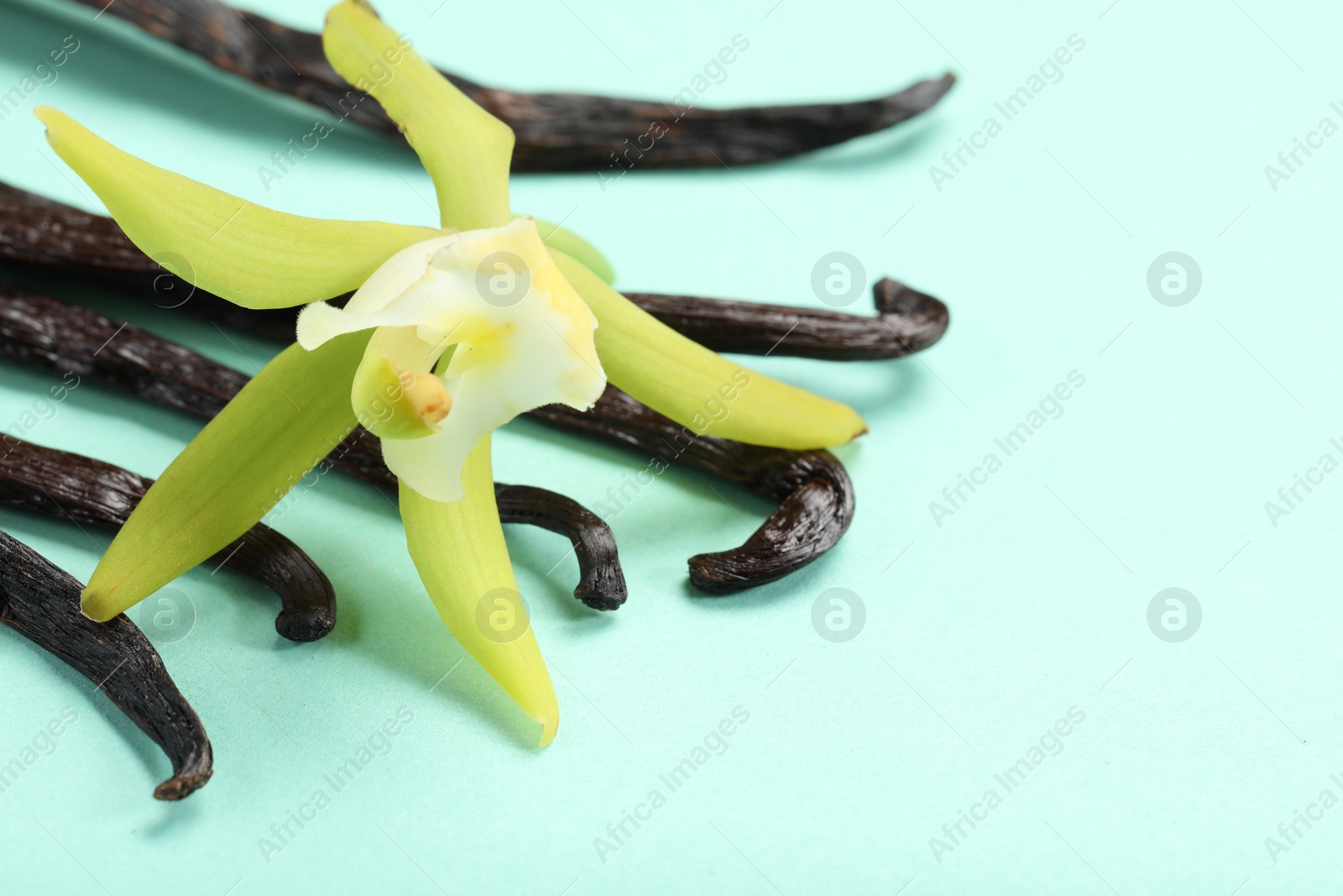 Photo of Vanilla pods and beautiful flower on turquoise background, closeup. Space for text