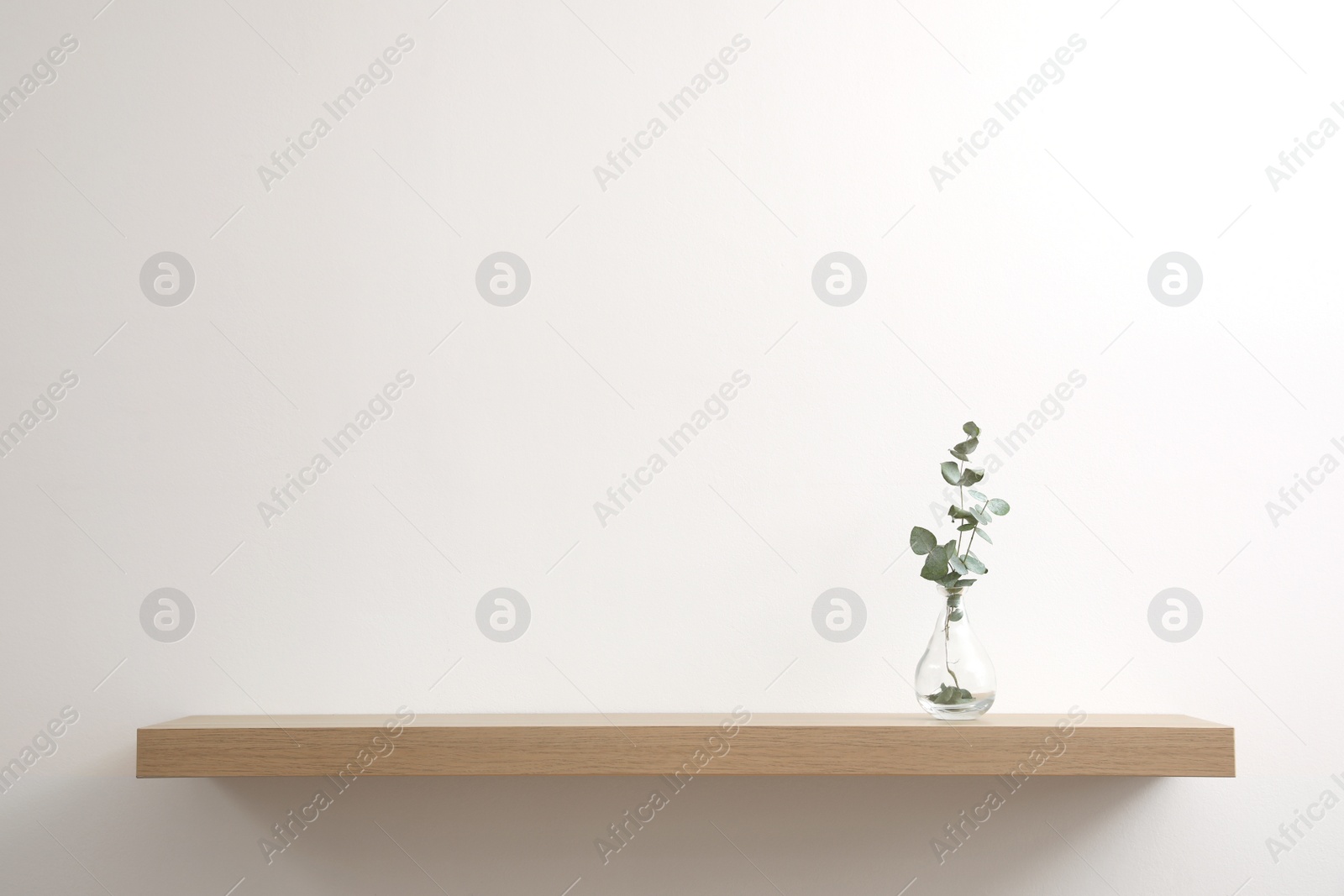 Photo of Wooden shelf with plant in vase on light wall