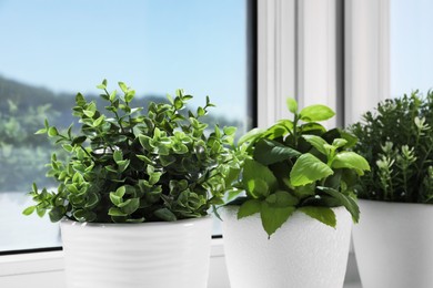 Photo of Artificial potted herbs on sunny day on windowsill indoors, closeup. Home decor