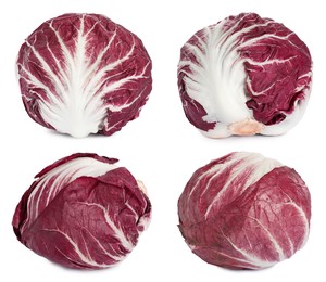 Image of Set with fresh ripe radicchios on white background 