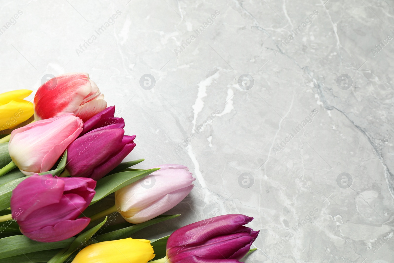 Photo of Beautiful spring tulips on grey marble table, flat lay. Space for text