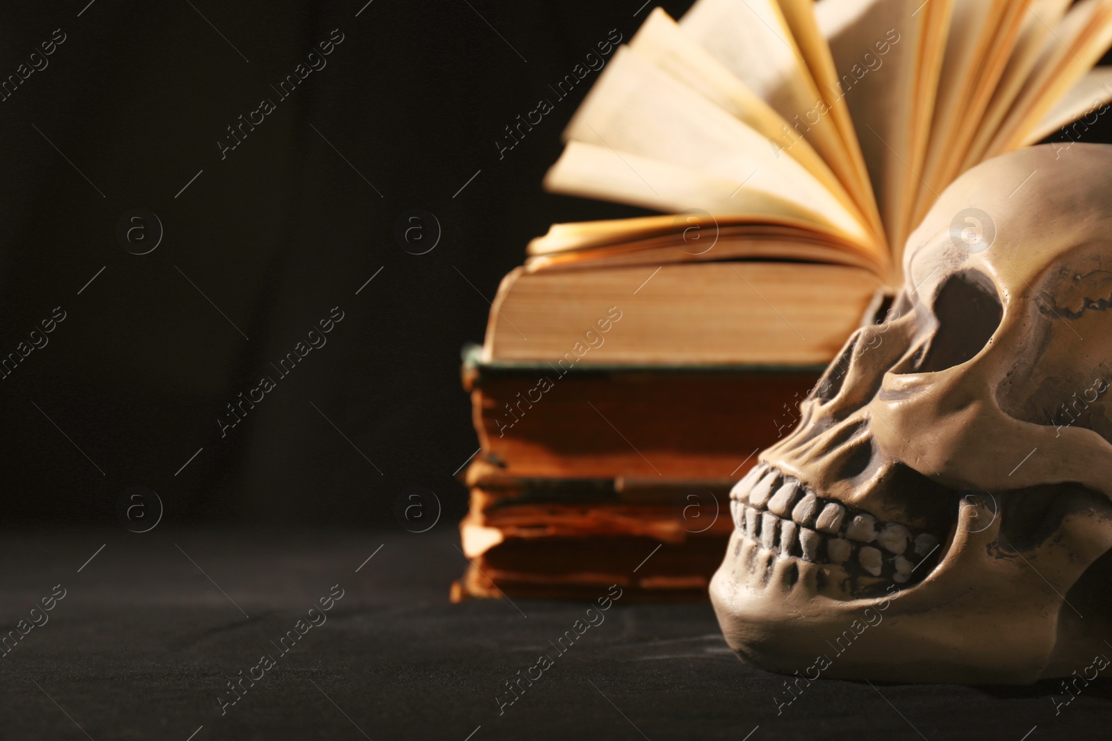 Photo of Human skull and old books on black background, closeup. Space for text