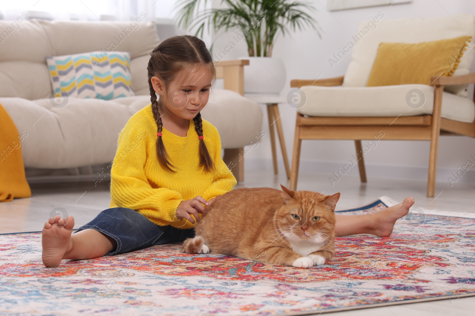 Photo of Little girl and cute ginger cat on carpet at home