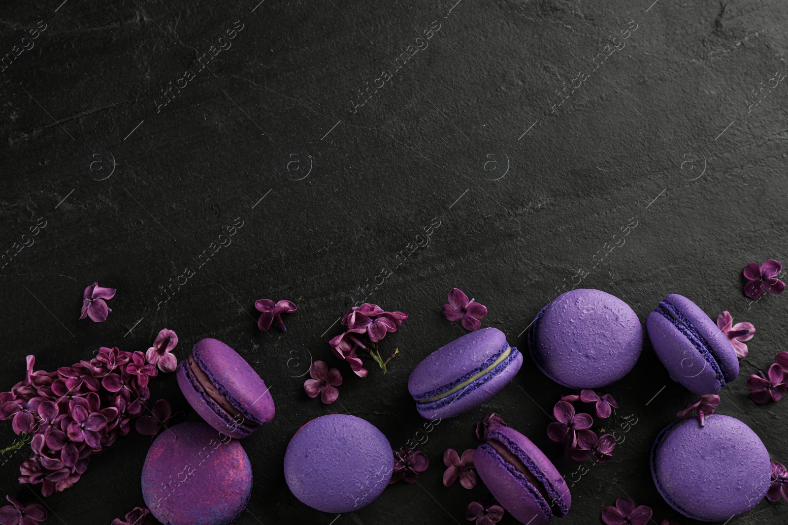 Photo of Delicious macarons and flowers on black table, flat lay. Space for text