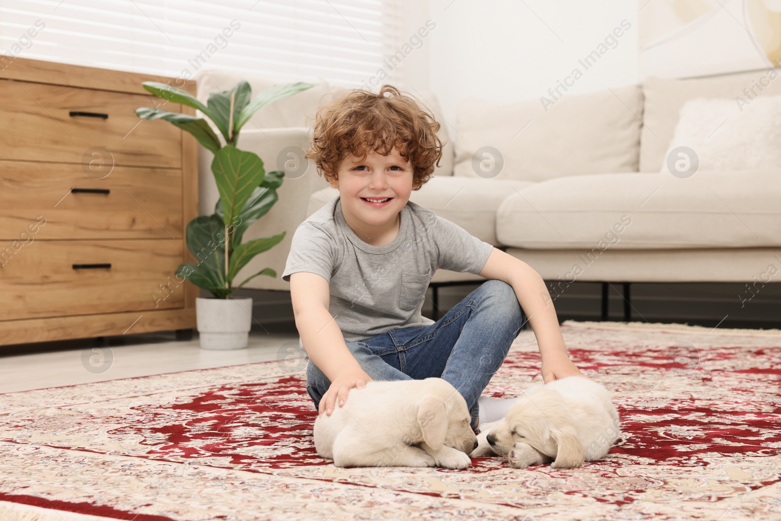 Photo of Little boy with cute puppies on carpet at home