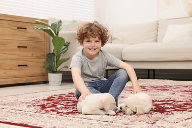 Little boy with cute puppies on carpet at home