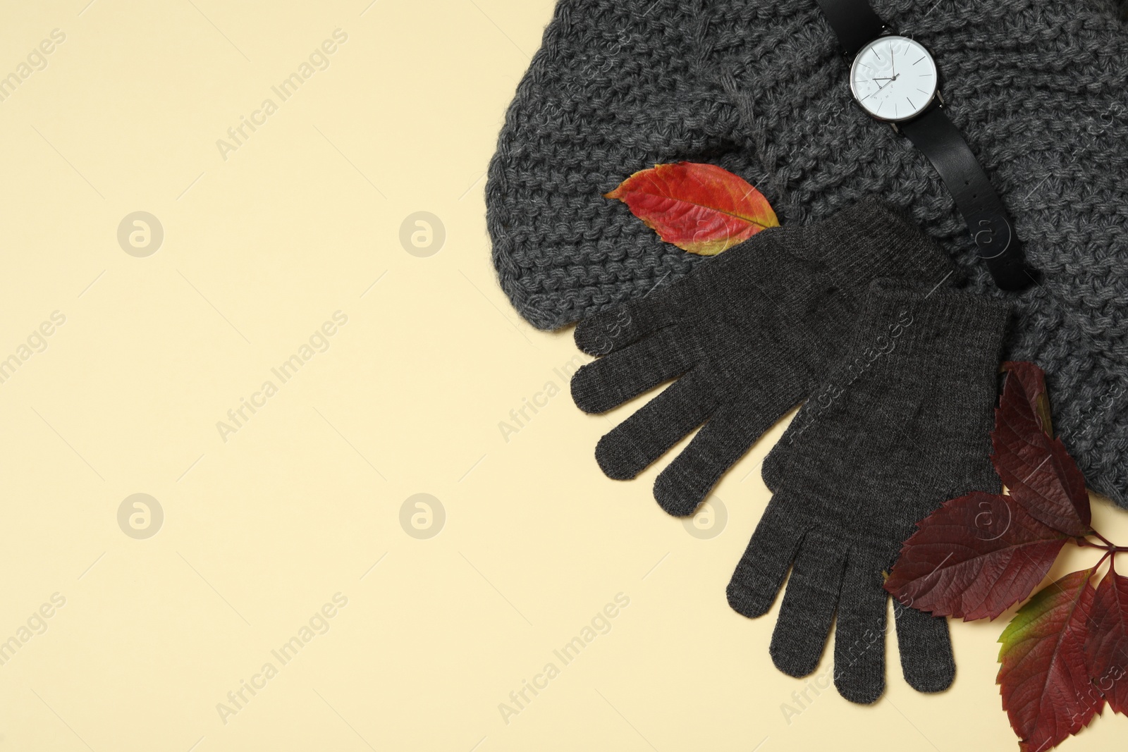 Photo of Stylish woolen gloves, scarf, wristwatch and dry leaves on beige background, flat lay. Space for text